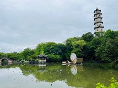 -江心屿景区