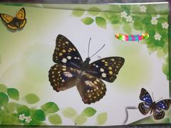 -上海昆虫博物馆