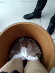 -派恩宜灰指甲鸡眼嵌甲手足癣