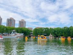 -团结湖公园
