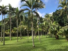 -中国科学院西双版纳热带植物园