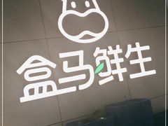 -盒马鲜生(龙德广场店)