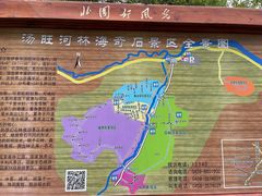 -汤旺河林海奇石景区