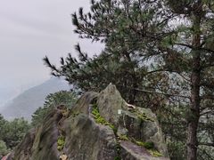 -南山植物园