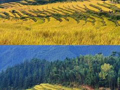 -广州市石门国家森林公园