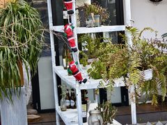 -三圣花乡旅游区