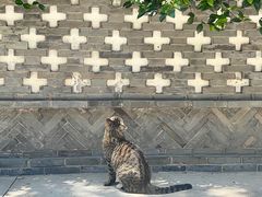 -龙华素斋(龙华路店)