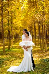 点击看大图 -爱完美婚纱摄影工作室(丈八北路店)