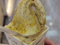 -野人先生现做冰淇淋(西安赛格店)