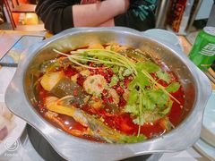 -川囧肥肠鸡·美蛙鱼锅(平高广场店)