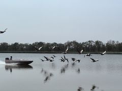 -南大港湿地风景区