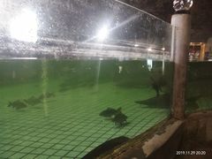-天怡·鱼工厂(梅溪湖店)