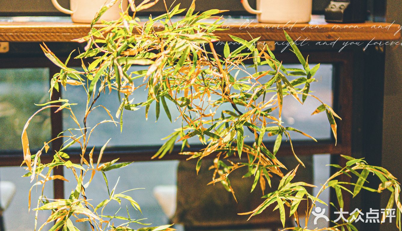 正经川菜，不改良，专治没胃口😤😤😤