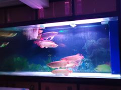 -弘安丽水温泉酒店