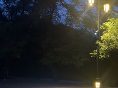 -北陵公园