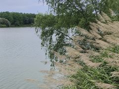 -苏州太湖国家湿地公园