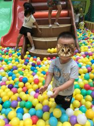 点击看大图 -乐8运动馆·桐语运动乐园(南湖二路店)