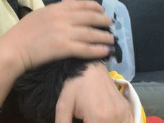 -谐和益家动物医院·免疫绝育·血液透析·宠保定点医院(高新伊藤分院)
