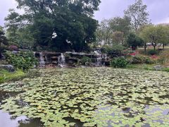 -东莞植物园