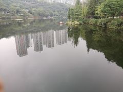 -重庆彩云湖湿地公园