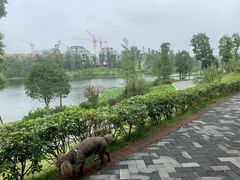 -东岳体育公园