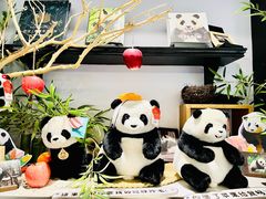 -轩客会(熊猫书店)