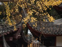 -成都市文殊院