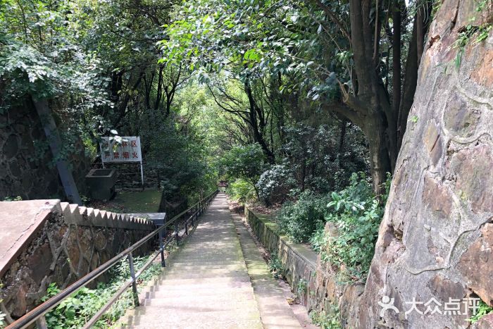 青山公園圖片