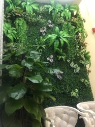 -苗医生草本科技祛痘