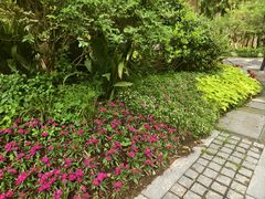 -杭州植物园