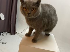 -壹人壹像工作室(购物公园店)