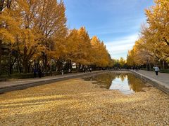 -玲珑塔公园