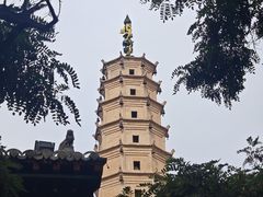 -白塔山公园