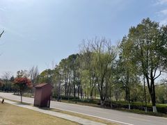 -洋湖国家湿地公园