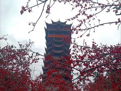 -塔子山公园