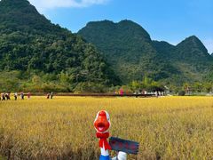 -靖西鹅泉风景区