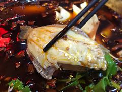 -川道拐耗儿鱼(置信路店)