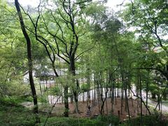 -岳麓山风景名胜区