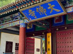 -张掖大佛寺景区