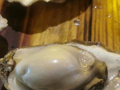 -土蚝·高压锅生蚝(百姓美食街店)