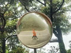 -梧桐山风景名胜区