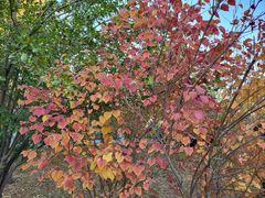 -中家鑫园温泉酒店鑫悦汤泉