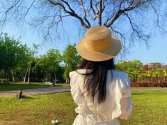 -合肥滨湖国家森林公园