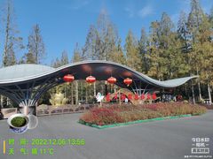 -东平国家森林公园