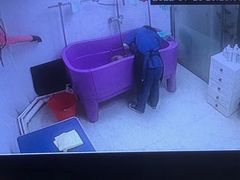 -众联宠物医院