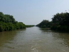 android_upload_pic-大湾区中央湿地公园