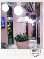 -好看加白色房子