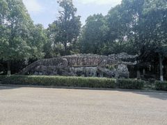 -中国扬子鳄村