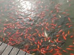-大连外国语大学(旅顺校区)