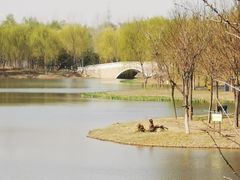 -东郊湿地公园